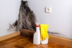 Environmental Consulting for Mold Prevention in Fairview Park, IN